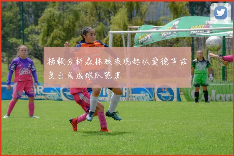 杨毅分析森林狼表现起伏爱德华兹复出或成球队隐患