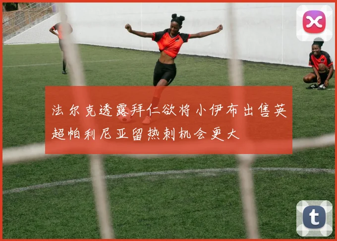 法尔克透露拜仁欲将小伊布出售英超帕利尼亚留热刺机会更大