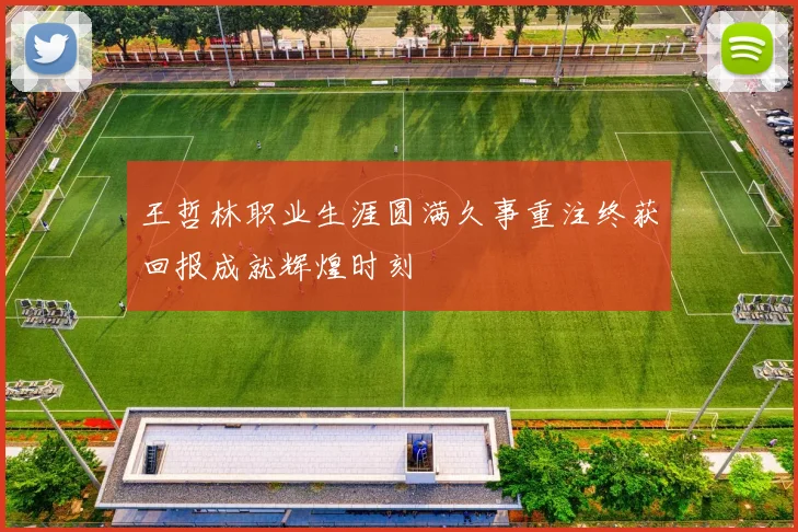 王哲林职业生涯圆满久事重注终获回报成就辉煌时刻